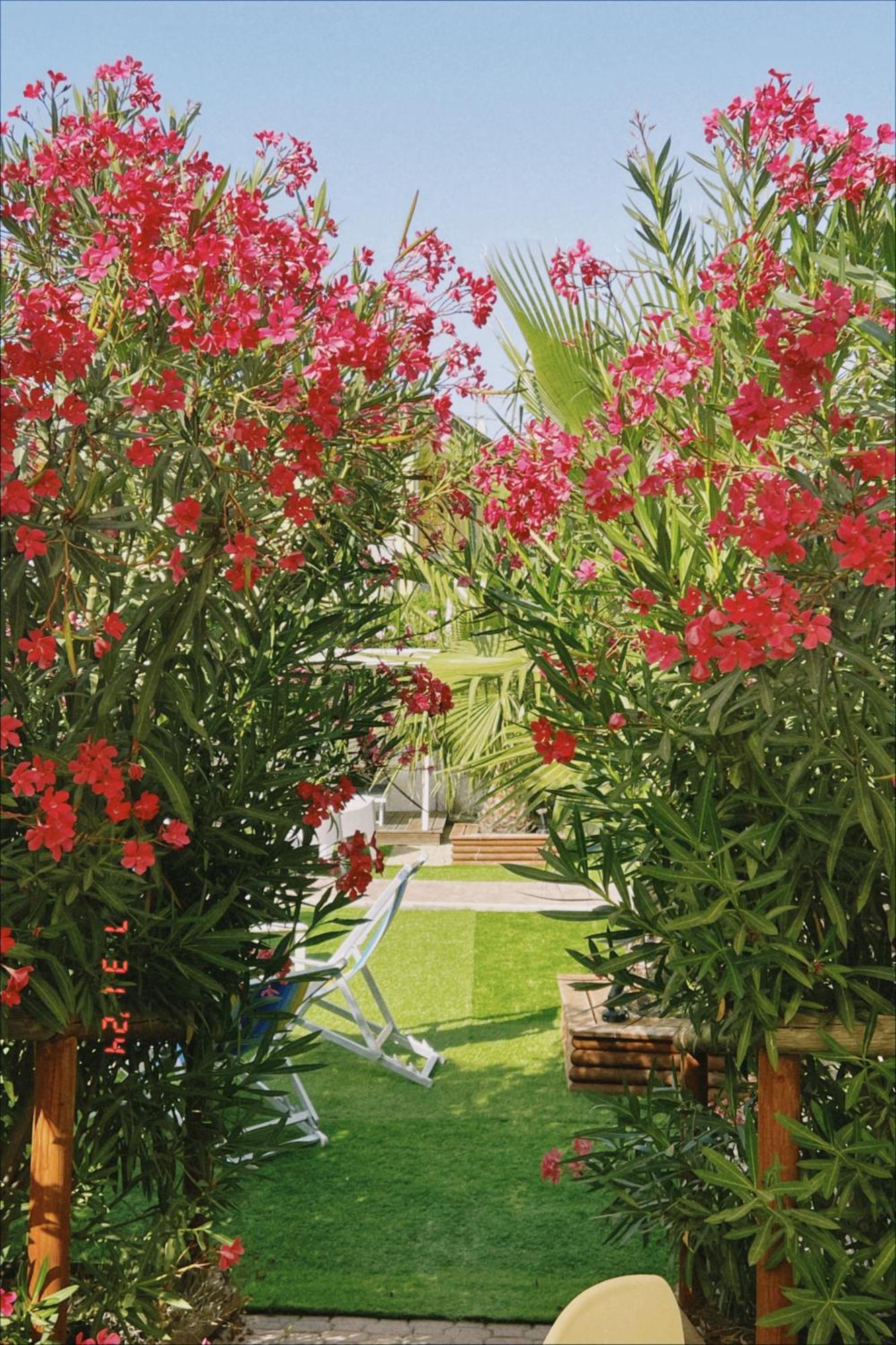 Le Palme Holidays Palmadula Bagian luar foto